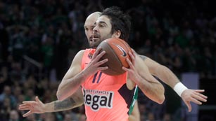 Ver v&iacute;deo  'Navarro cumple 500 partidos en la Liga Endesa'