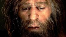 Un neandertal seg&uacute;n los restos hallados en Croacia