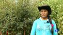 Ir al Video&nbsp;Las necesidades h&iacute;dricas de los peque&ntilde;os agricultores de los Andes