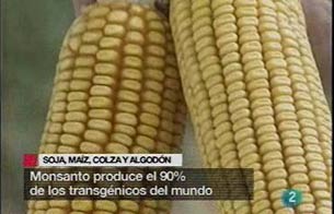 Ver v&iacute;deo  'El negocio de los transg&eacute;nicos'