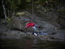 Niclas Hammerstrom of Sweden has won the second prize Spot News Stories with the series 