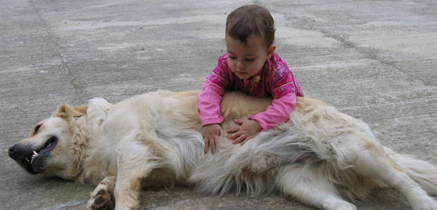 Salsa, del equipo de terapia con animales Somos dos, con una niña Salsa, del equipo de terapia con animales Somos dos, con una niña
