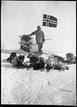 Oscar Wisting posa con sus perros y su trineo, con una bandera noruega, durante la expedici&oacute;n al Polo Sur de 1911