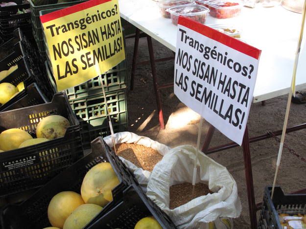 No a los transg&eacute;nicos