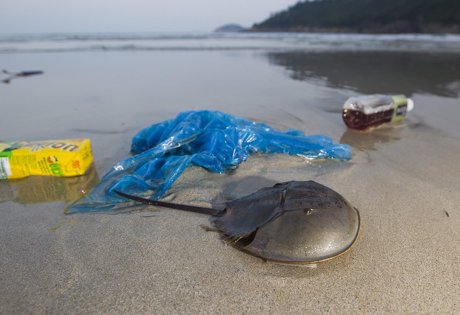 &iquest;A que no me ves?