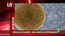 Ir al Video&nbsp;La Noche Tem&aacute;tica - C&eacute;lulas madre, una nueva esperanza. Avance