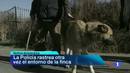 Ir al Video&nbsp;Noticias Andaluc&iacute;a - 07/02/12