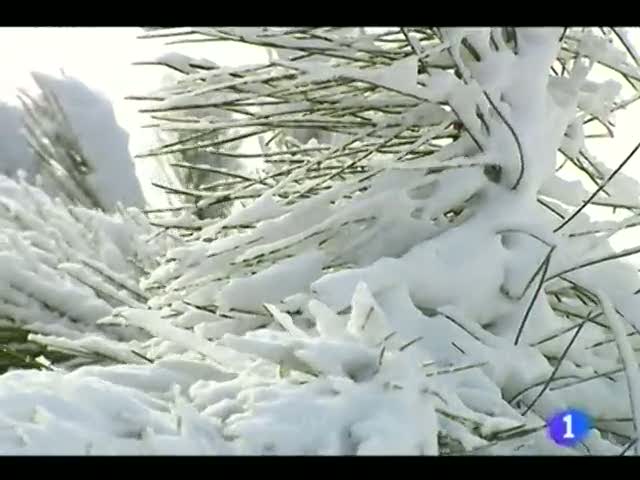 Ir al Video&nbsp;Noticias Murcia. (02/02/2012).