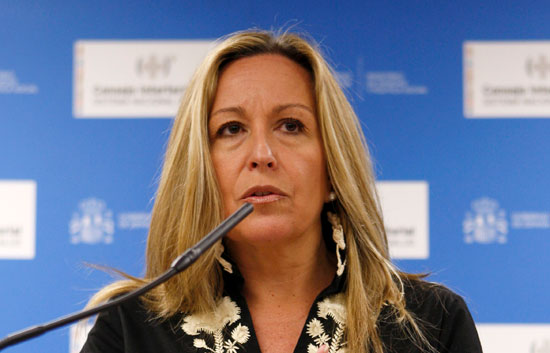 Novedades en la vacunaci&oacute;n contra la gripe A para embarazadas