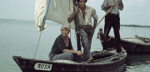 novela