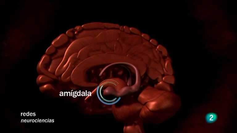 Redes - Nuestra visi&oacute;n inconsciente V.O.