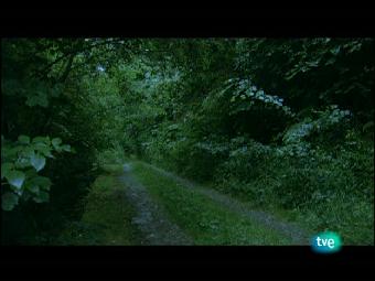 Ver v&iacute;deo  'Nuestros caminos a Santiago - Camino del norte 1'
