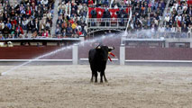 Ir al Video&nbsp;Nueva exposici&oacute;n en la plaza de toros de Las Ventas de Madrid