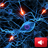 Nuevo estudio sobre las neuronas