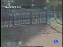 Ir al Video&nbsp;Nuevos datos sobre los ni&ntilde;os desaparecidos en C&oacute;rdoba