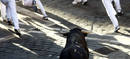 Octavo encierro . San Ferm&iacute;n 2009