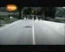 Video: OBK "El cielo no entiende" (Vuelta 2000)