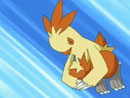 Imagen del  v&iacute;deo de Pok&eacute;mon Advanced titulado UN OBST&Aacute;CULO PARA SQUIRTLE