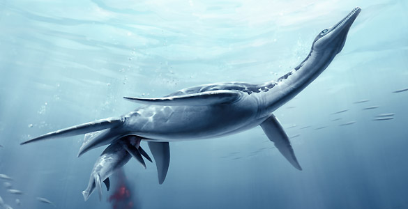 Recreación artística del nacimiento de una cría de plesiosaurio en el mar