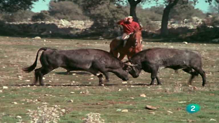 El hombre y la Tierra (Fauna ib&eacute;rica) - Olimpiada zool&oacute;gica I