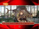 Ir al Video&nbsp;On Off: Mar reciclado en L'Oceanogr&agrave;fic