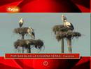 Ir al Video&nbsp;On Off: Por san Blas la cig&uuml;e&ntilde;a ver&aacute;s