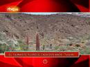 Ir al Video&nbsp;On Off: Los tajinastes vuelven a florecer en el Teide