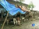 Ir al Video&nbsp;La ONU aumenta a 1.400 los fallecidos por las peores inundaciones que se recuerdan en Pakist&aacute;n