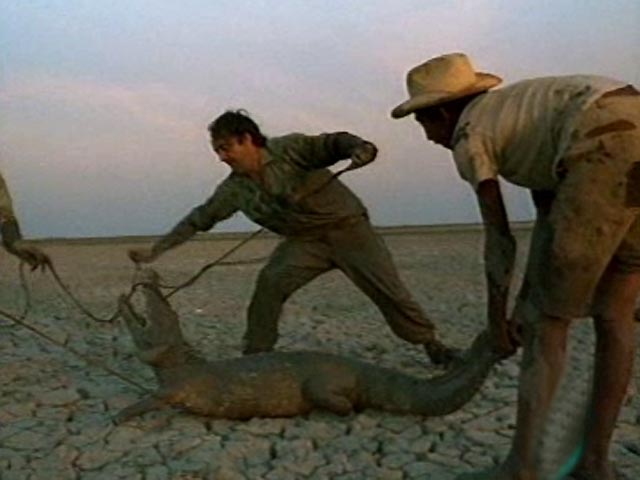 El hombre y la tierra - Operaci&oacute;n Anaconda