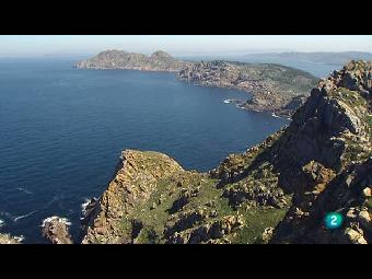Las riberas del mar oc&eacute;ano - Orden en el caos 