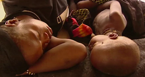 "El orden criminal del mundo" "El orden criminal del mundo"