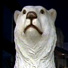 El oso del bar de hielo en Amsterdam - Buscamundos