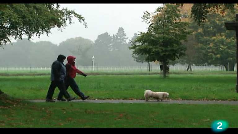 Por la ruta de la memoria - Oto&ntilde;o irland&eacute;s