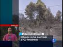 Ir al Video&nbsp;En La Palma se sigue trabajando para controlar un incendio que ha quemado 2.700 hect&aacute;reas