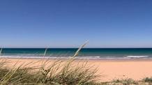palmar1