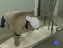 Ir al Video&nbsp;Para evitar despidos, los sindicatos aceptan que los salarios pierdan poder adquisitivo