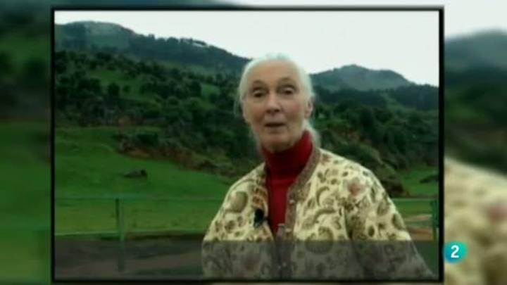 Ir al Video&nbsp;Para todos La 2 - ONG: El colt&aacute;n, causa de guerra en la R.D. del Congo