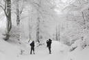 Una pareja toma fotograf&iacute;as en el alto de Iba&ntilde;eta, en Navarra, en medio de la nieve