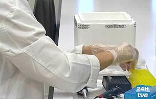 El Parlamento rechaza prohibir la investigaci�n con embriones h�bridos