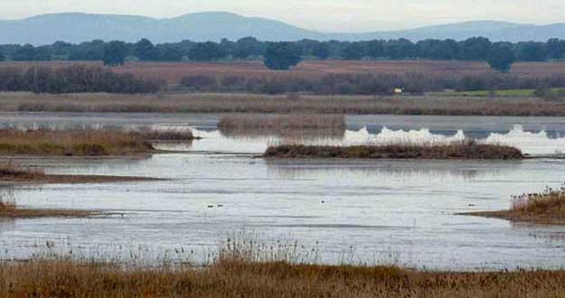 PARQUE NACIONAL DE LAS TABLAS DE DAIMIEL