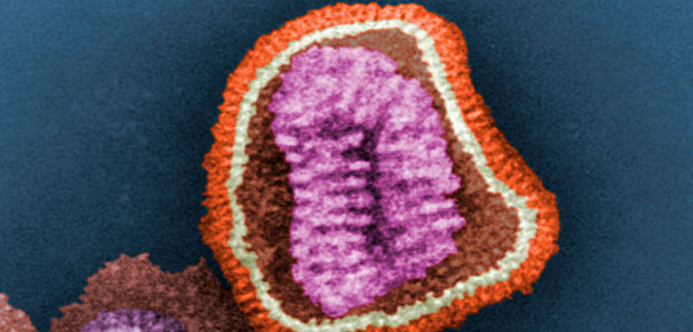 Particula del virus de la Influenza
