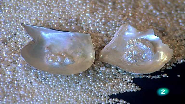 Am&eacute;rica total - Pasi&oacute;n por Margarita