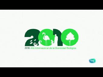 Biodiario - Un pato con herramienta incorporada 
