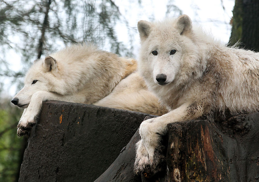 Una pausa para respirar