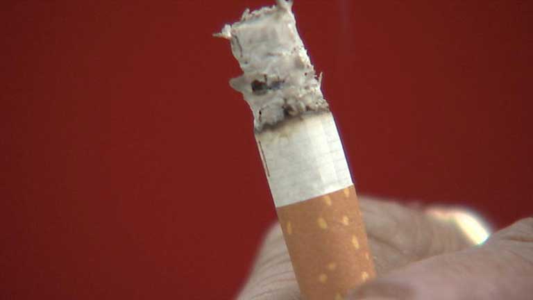 Dos colillas, el origen del incendio de la Jonquera
