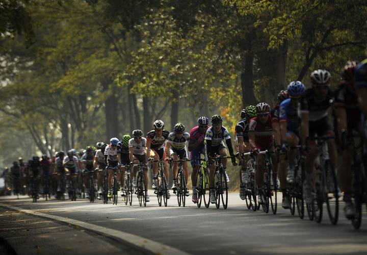 El pelot&oacute;n ciclista transita por una zona arbolada
