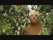 Los peque&ntilde;os productores de naranja pueden verse afectados