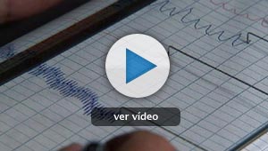 La persecuci&oacute;n de la mentira