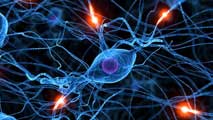 Ir al Video&nbsp;Las personas que sufren da&ntilde;o cerebral suelen tener problemas para recordar cosas nuevas