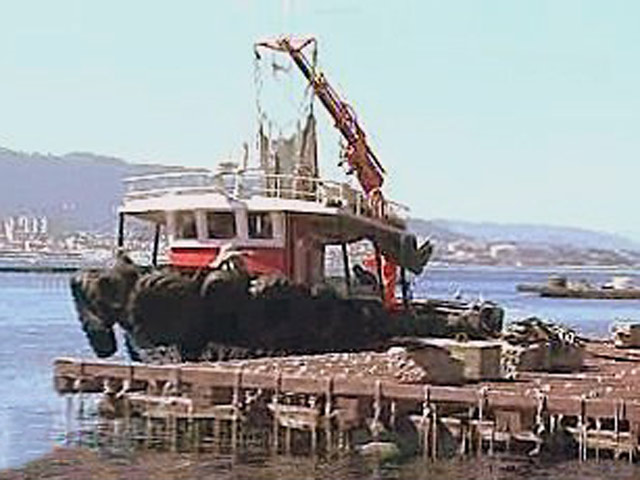 Espa&ntilde;a Directo - Pescadores por un d&iacute;a